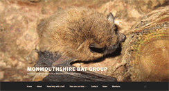 Desktop Screenshot of monmouthshirebatgroup.org